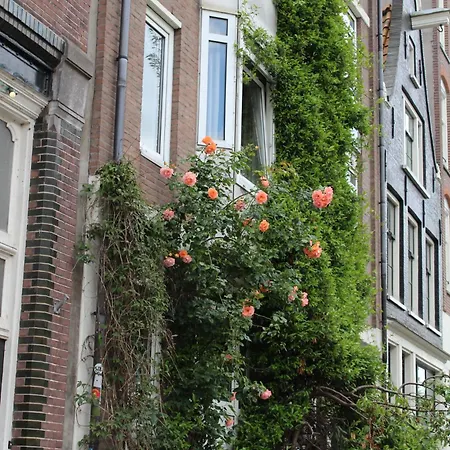 Jordaan Center *