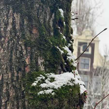 Jordaan Centre 아파트