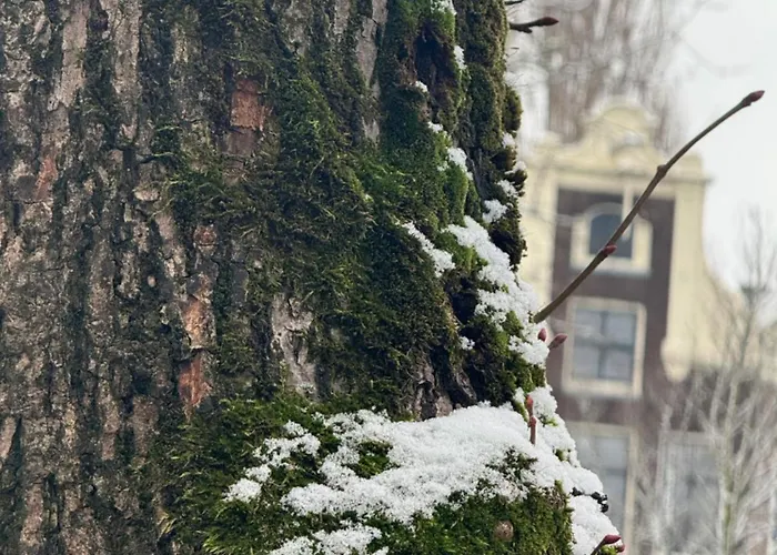 Jordaan Centre 아파트